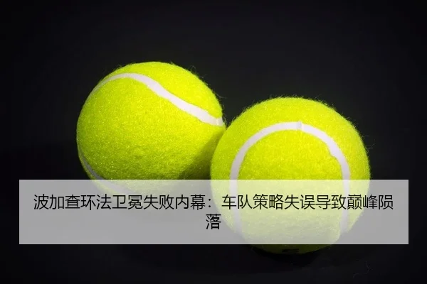 bo-jia-cha-huan-fa-wei-mian-shi-bai-nei-mu-che-dui-ce-lve-shi-wu-dao-zhi-dian-feng-yun-luo-2-503.jpg